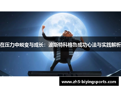 在压力中蜕变与成长：波斯特科格鲁成功心法与实践解析