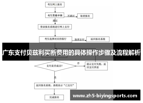 广东支付贝兹利买断费用的具体操作步骤及流程解析