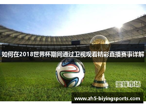 如何在2018世界杯期间通过卫视观看精彩直播赛事详解 如何在2018世界杯期间通过卫视观看精彩直播赛事详解